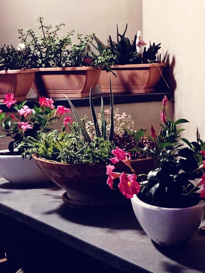 Borgo Antico B&B Foggia Buitenkant foto
